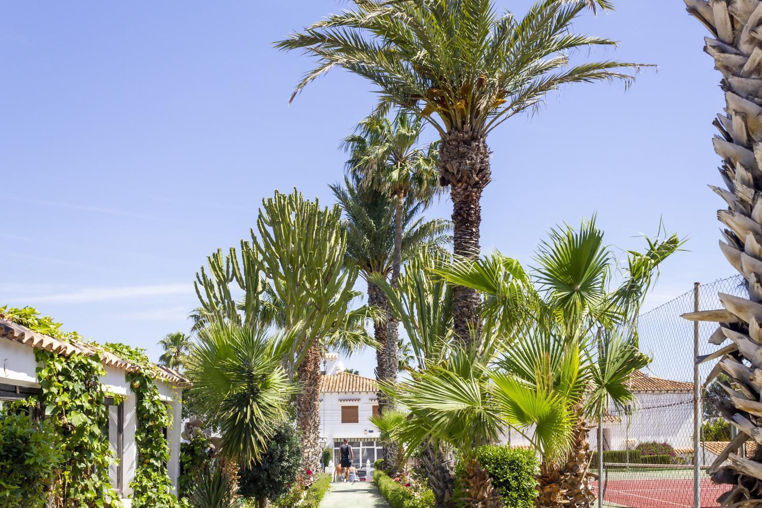 Bungalow Pink Palm Beach Torrevieja Exteriör bild